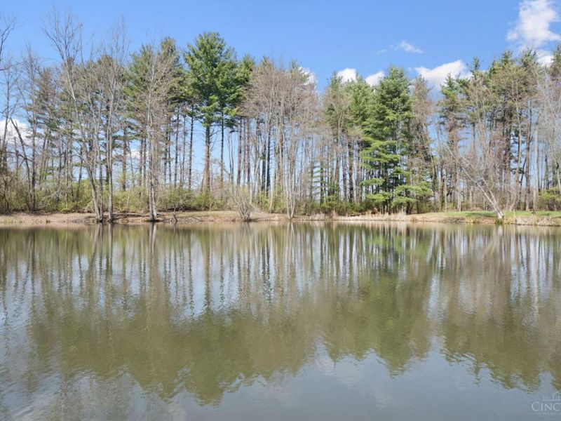 3911 Campbell Road, Fayetteville, OH 45118 Photo 55