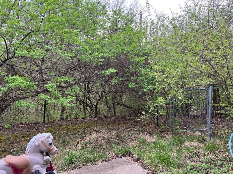 1645 Mandarin Court, Forest Park, OH 45240 Photo 19