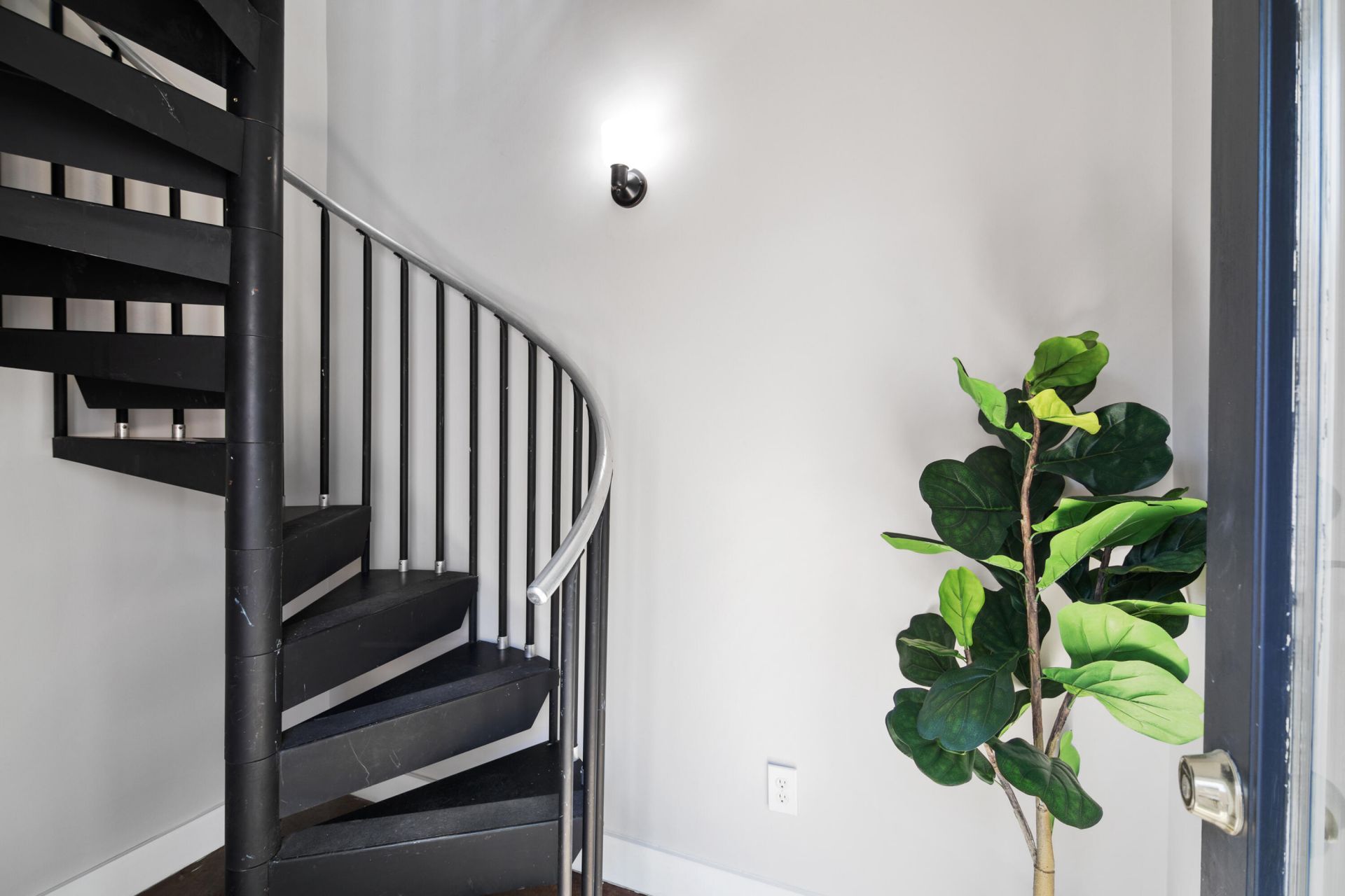 2 Francis Street Photo 34