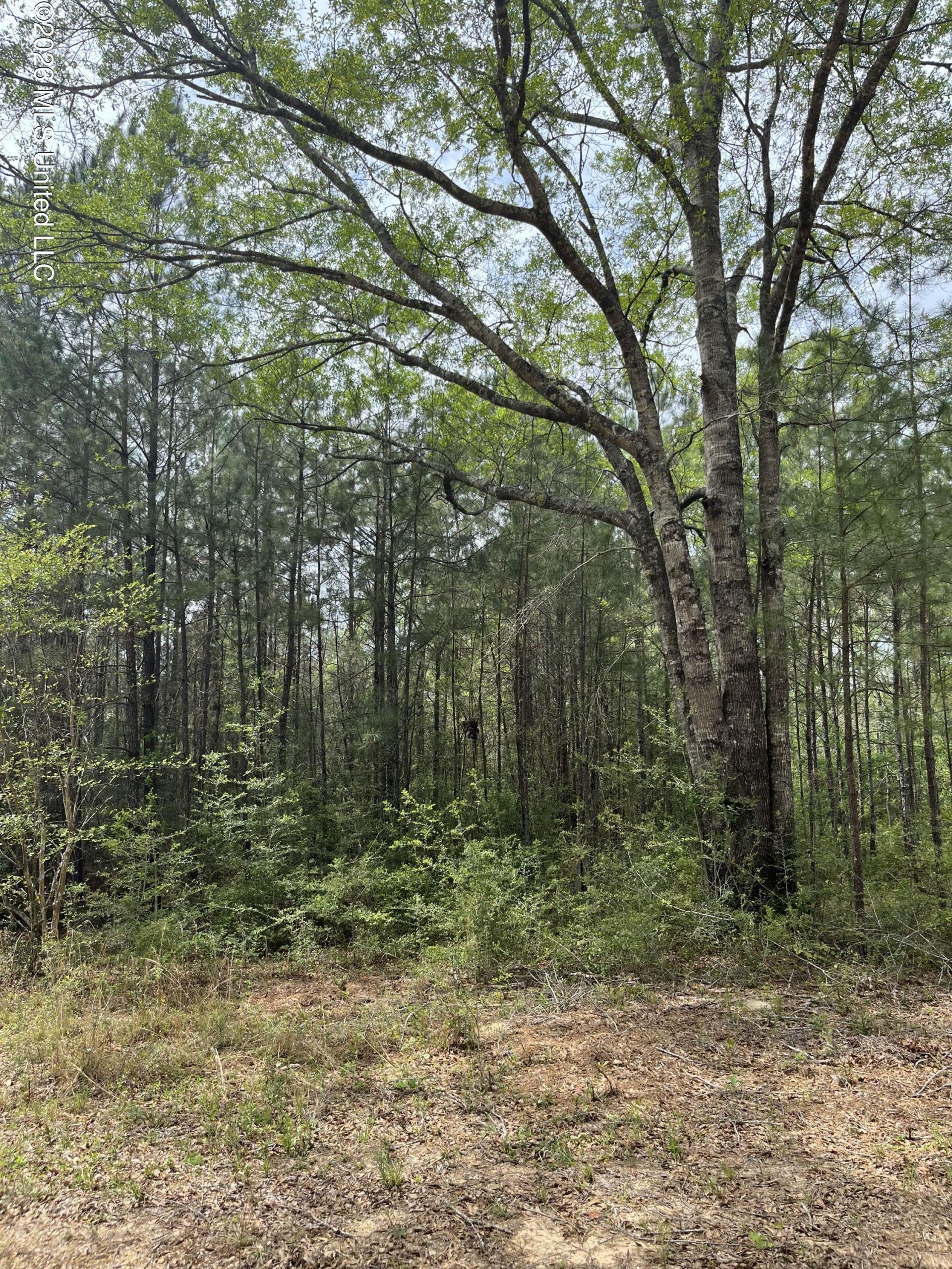 21 Range Line Road, Perkinston, MS 39573 Main Photo