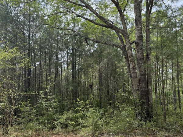 21 Range Line Road, Perkinston, MS 39573