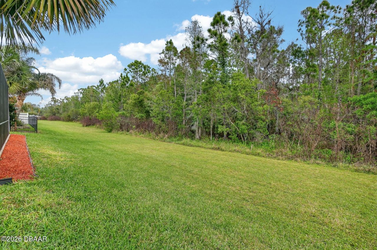 3355 Bellino Boulevard, New Smyrna Beach, FL 32168 Photo