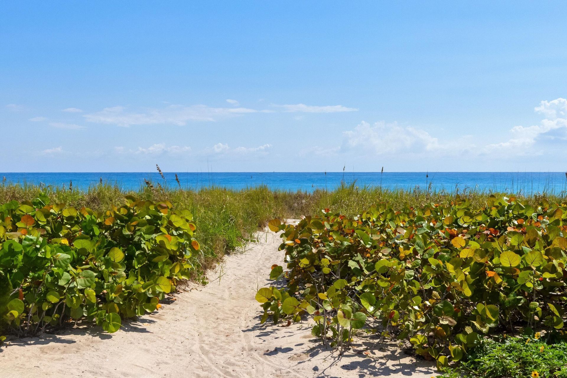 211 Ocean Terrace, Palm Beach, FL 33480 Photo