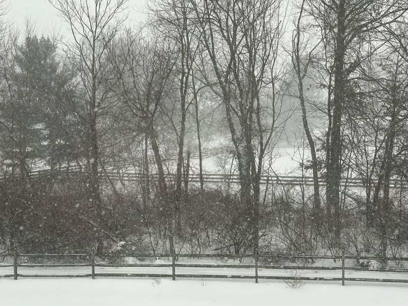 8239 Woodland Creek Court, Blacklick, OH 43004 Photo 59