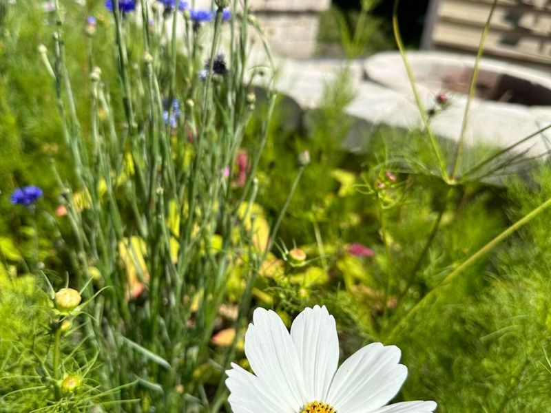 8239 Woodland Creek Court, Blacklick, OH 43004 Photo 60