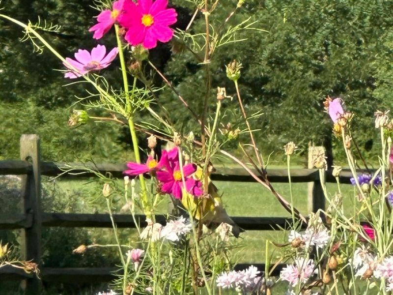 8239 Woodland Creek Court, Blacklick, OH 43004 Photo 60