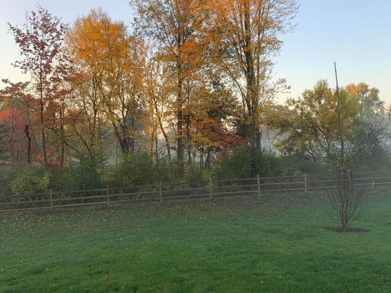 8239 Woodland Creek Court, Blacklick, OH 43004 Photo 61