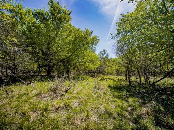 100 Acres FM 2950 , Jermyn, TX 76459