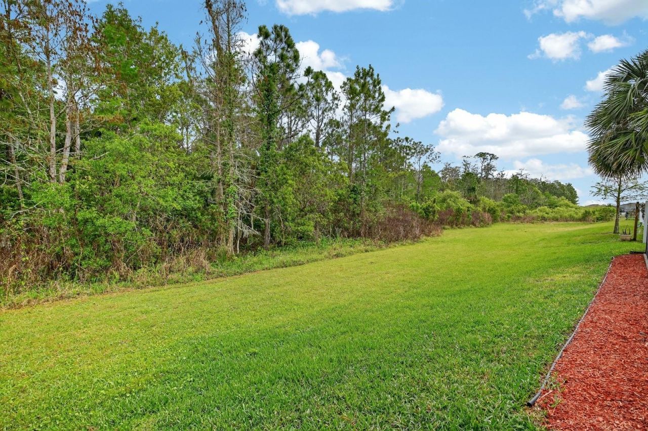 3355 Bellino Boulevard , New Smyrna Beach, FL 32168 Photo