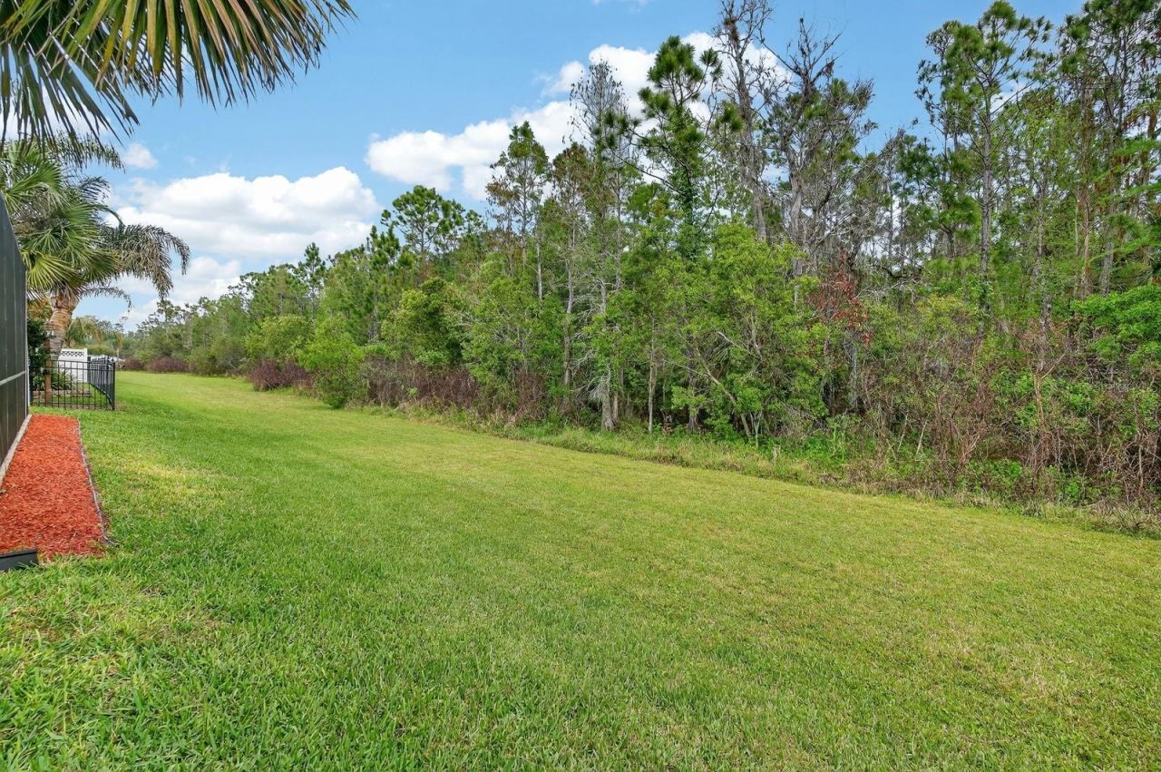 3355 Bellino Boulevard , New Smyrna Beach, FL 32168 Photo