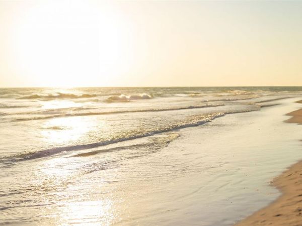 19 WHISPERING SANDS DRIVE , Unit 302, SARASOTA, FL 34242