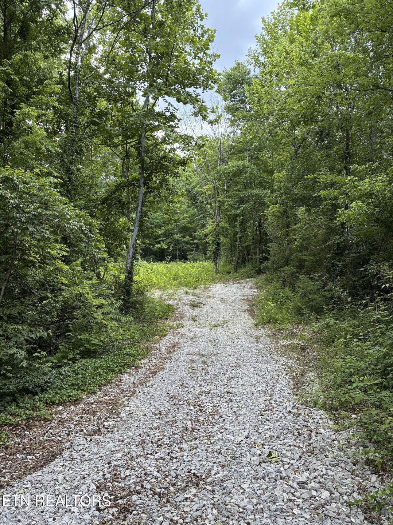 2147 Belt Rd, Knoxville, TN 37920 Main Photo
