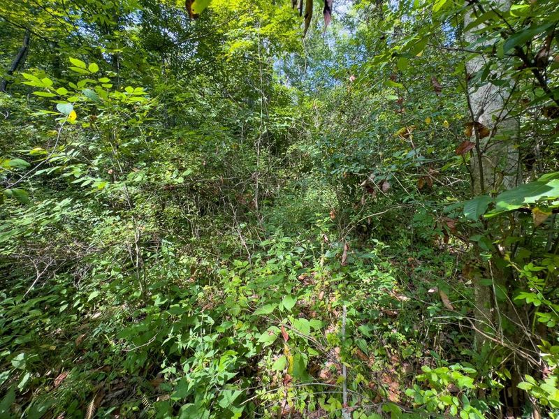 0 E Side Sand Ridge Road , Unit 338, Albany, OH 45710 Photo 10