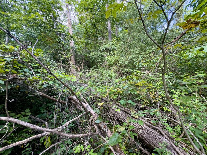 0 E Side Sand Ridge Road , Unit 338, Albany, OH 45710 Photo 11