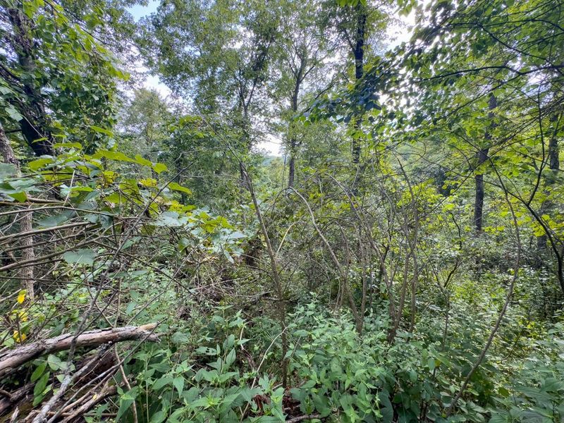 0 E Side Sand Ridge Road , Unit 338, Albany, OH 45710 Photo 12