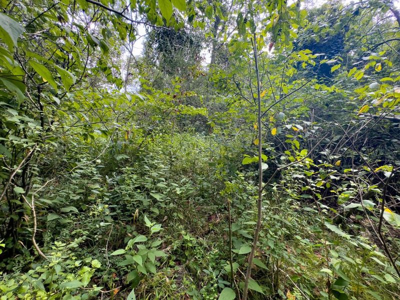 0 E Side Sand Ridge Road , Unit 338, Albany, OH 45710 Photo 13