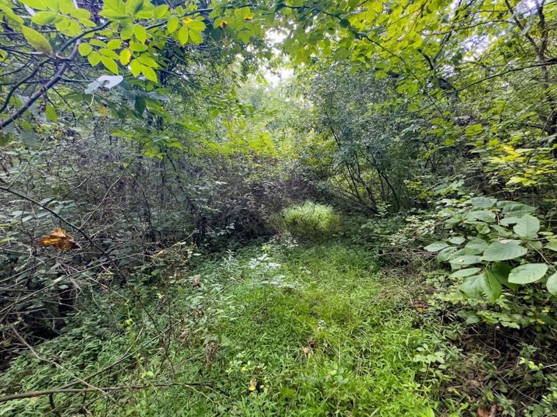 0 E Side Sand Ridge Road , Unit 338, Albany, OH 45710 Photo 14