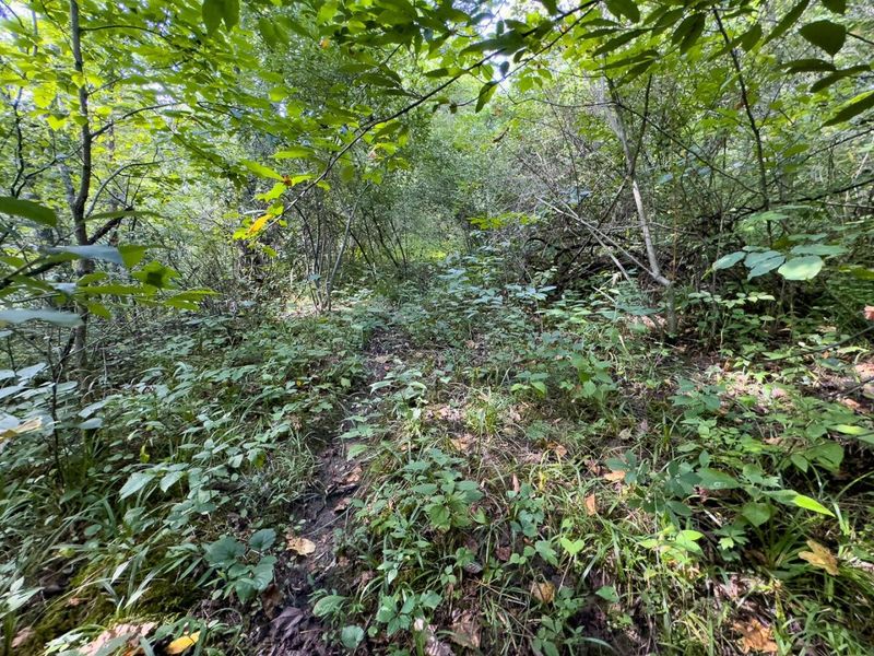 0 E Side Sand Ridge Road , Unit 338, Albany, OH 45710 Photo 15