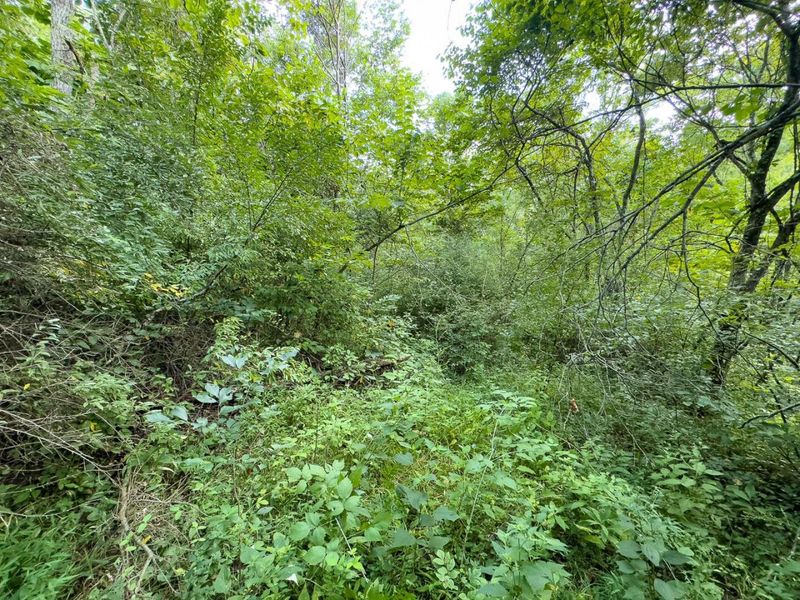 0 E Side Sand Ridge Road , Unit 338, Albany, OH 45710 Photo 16