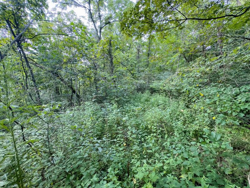 0 E Side Sand Ridge Road , Unit 338, Albany, OH 45710 Photo 17