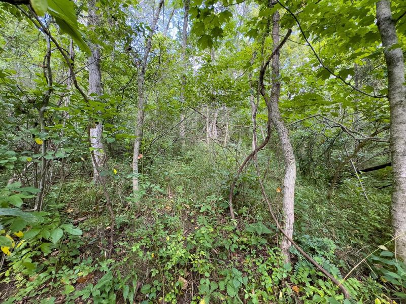 0 E Side Sand Ridge Road , Unit 338, Albany, OH 45710 Photo 18