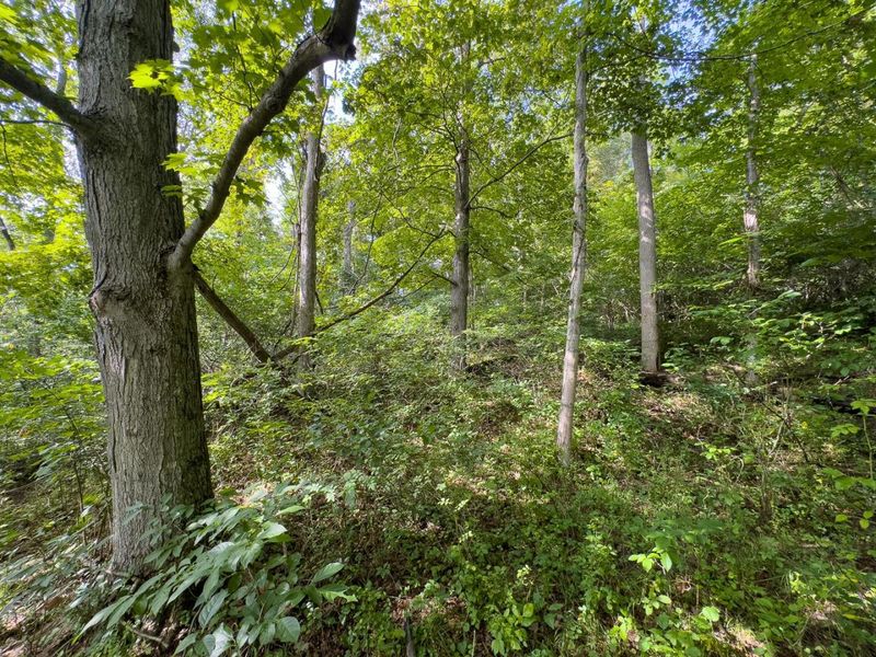 0 E Side Sand Ridge Road , Unit 338, Albany, OH 45710 Photo 19