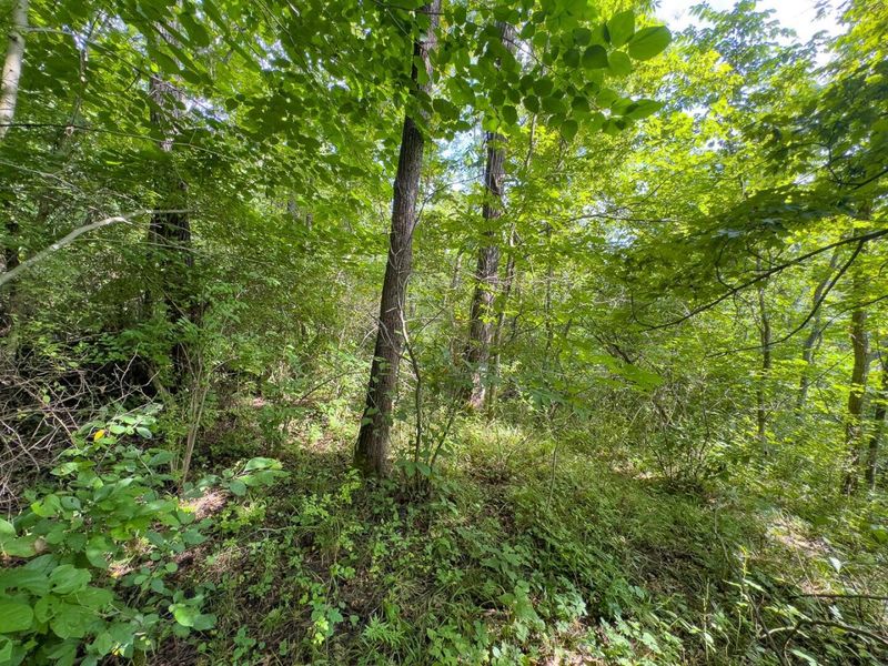 0 E Side Sand Ridge Road , Unit 338, Albany, OH 45710 Photo 20