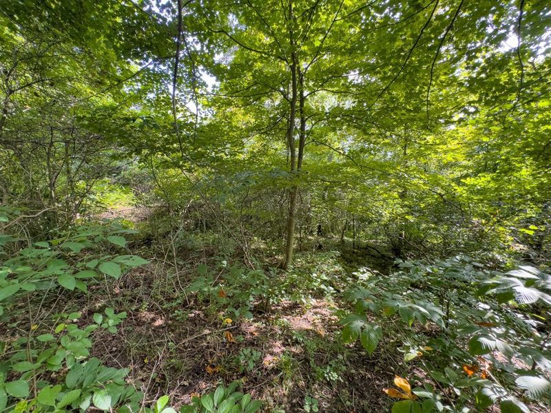 0 E Side Sand Ridge Road , Unit 338, Albany, OH 45710 Photo 21