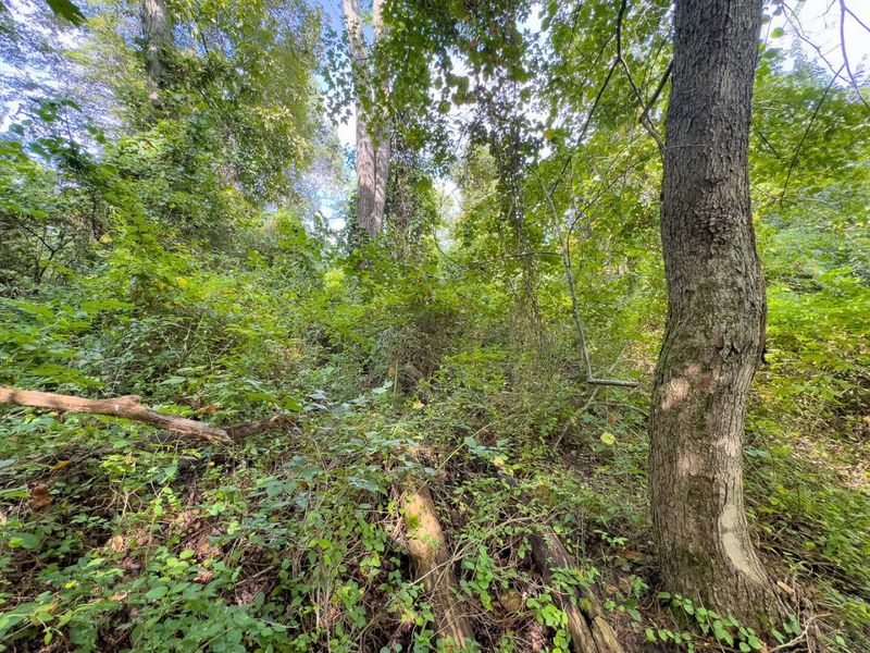 0 E Side Sand Ridge Road , Unit 338, Albany, OH 45710 Photo 22