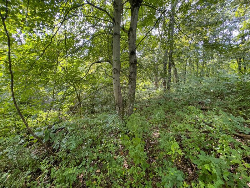 0 E Side Sand Ridge Road , Unit 338, Albany, OH 45710 Photo 23