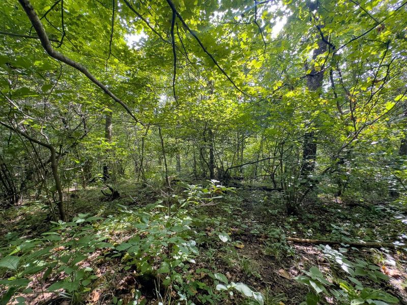 0 E Side Sand Ridge Road , Unit 338, Albany, OH 45710 Photo 24