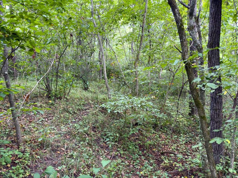 0 E Side Sand Ridge Road , Unit 338, Albany, OH 45710 Photo 25