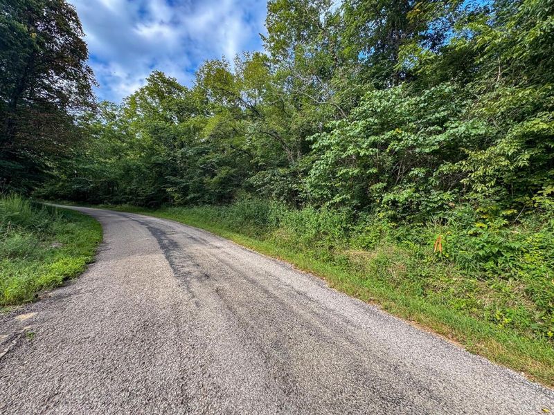 0 E Side Sand Ridge Road , Unit 338, Albany, OH 45710 Photo 28