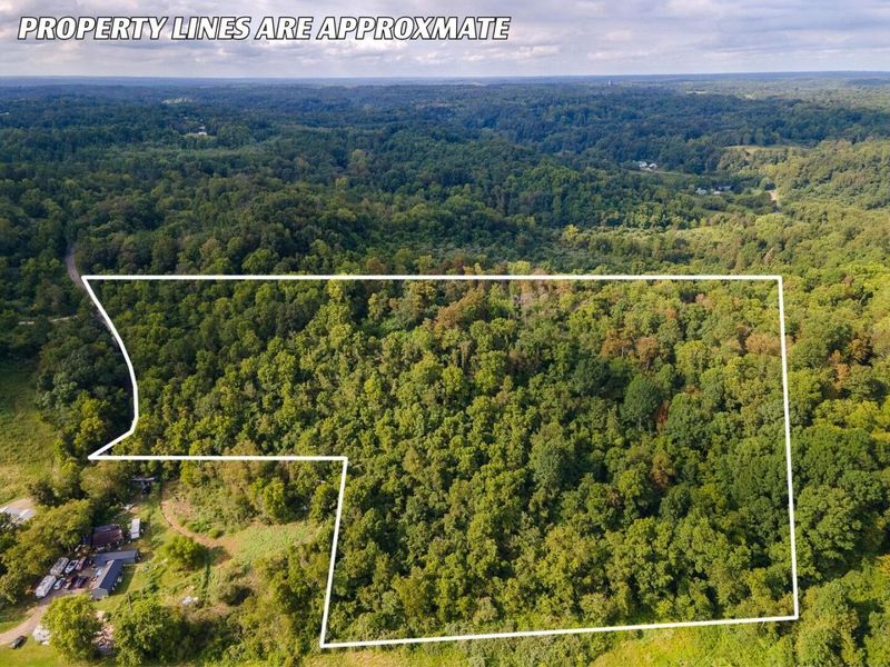 0 E Side Sand Ridge Road , Unit 338, Albany, OH 45710 Photo 3