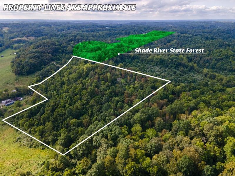 0 E Side Sand Ridge Road , Unit 338, Albany, OH 45710 Photo 5