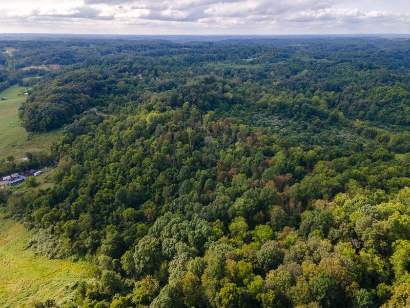 0 E Side Sand Ridge Road , Unit 338, Albany, OH 45710 Photo 6