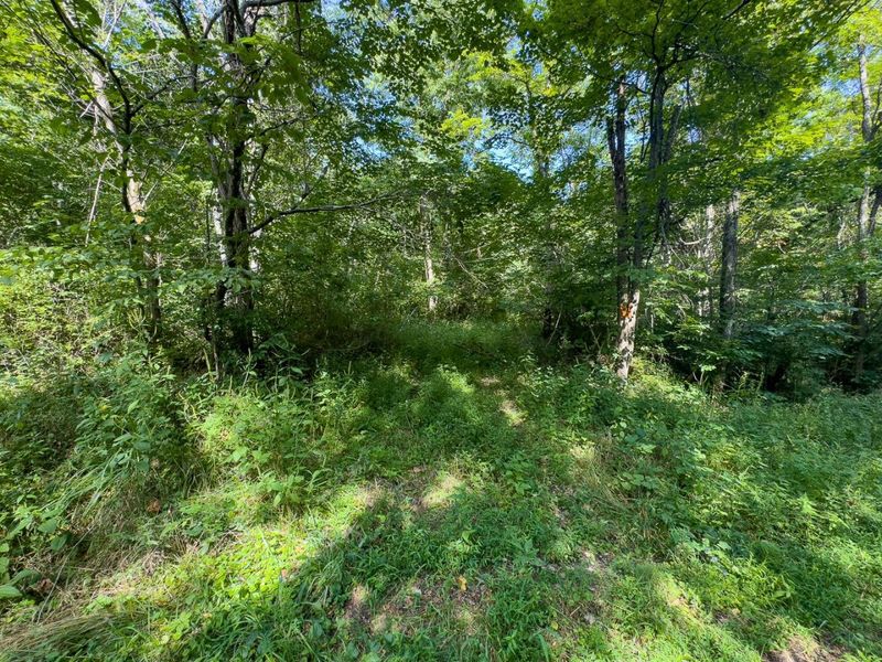 0 E Side Sand Ridge Road , Unit 338, Albany, OH 45710 Photo 7