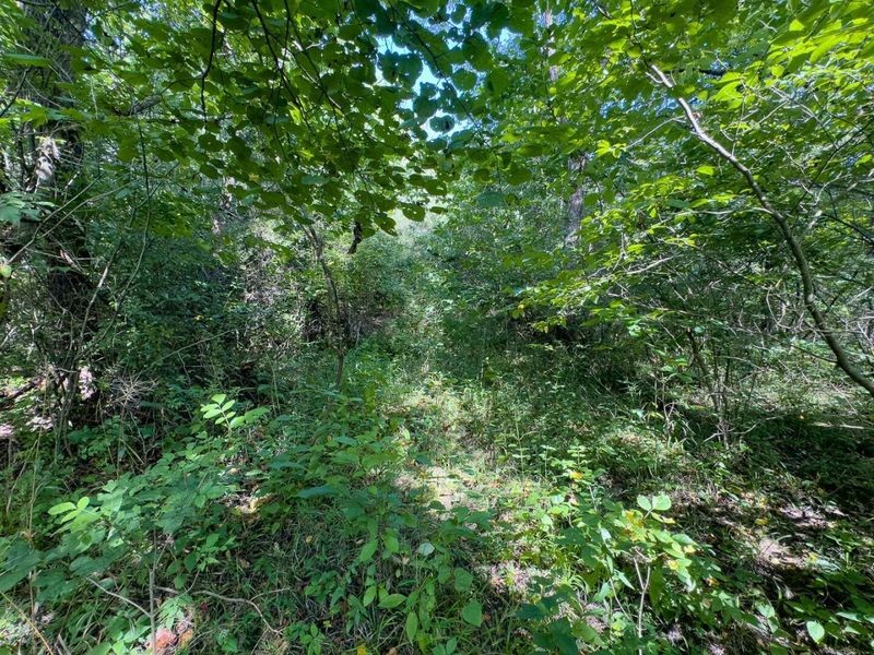 0 E Side Sand Ridge Road , Unit 338, Albany, OH 45710 Photo 8