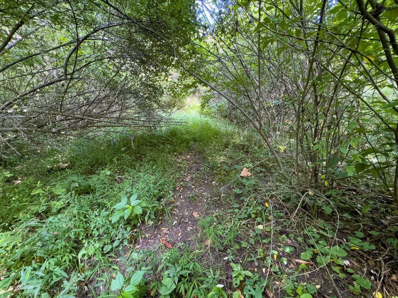 0 E Side Sand Ridge Road , Unit 338, Albany, OH 45710 Photo 9