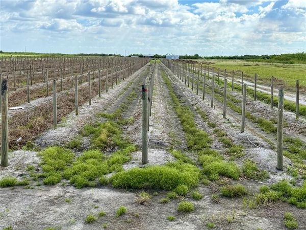 5567 5th RD , LABELLE, FL 33935