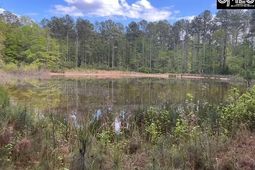 360 Rollingwood Drive  photo 4