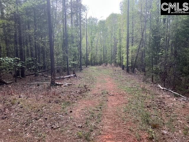 360 Rollingwood Drive  Photo 4