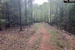 360 Rollingwood Drive  photo 4