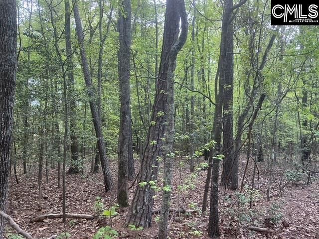 360 Rollingwood Drive  Photo 5