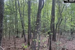 360 Rollingwood Drive  photo 4