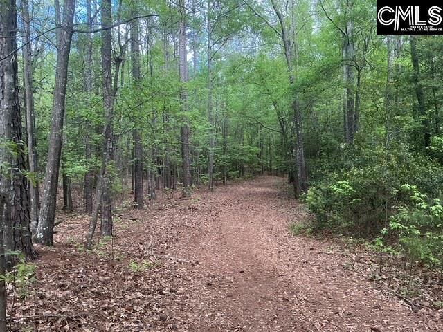 360 Rollingwood Drive  Photo 6