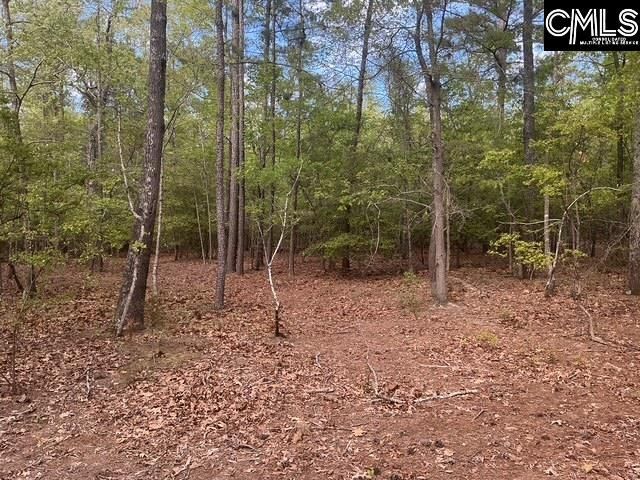 360 Rollingwood Drive  Photo 7