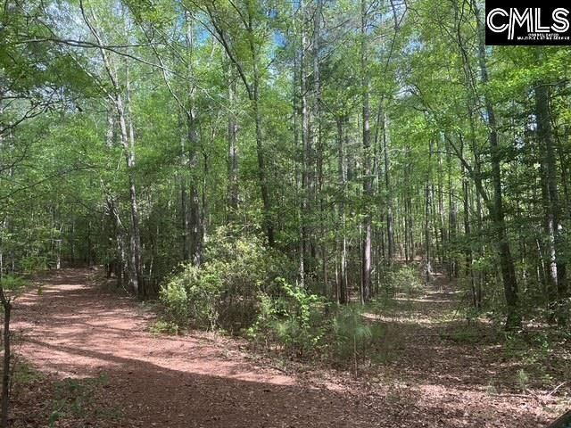 360 Rollingwood Drive  Photo 8