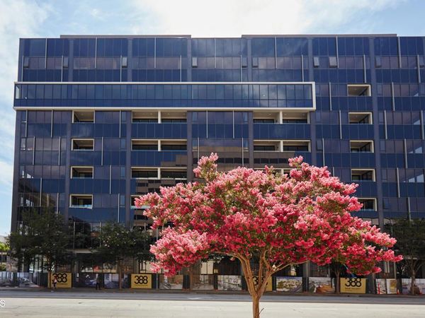 388 Cordova Street, Unit 305, Pasadena, CA 91101