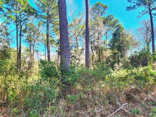 Lot 37 Dauphin Island Parkway , Theodore, AL 36582